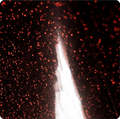 Red Glitter