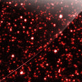 Red Glitter